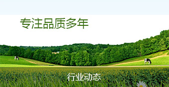 公司简介